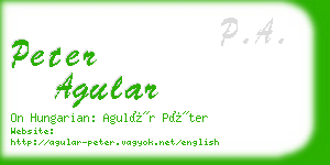 peter agular business card